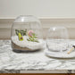 Oliver Terrarium Set of 4 By Accent Decor | Planters, Troughs & Cachepots | Modishstore - 3
