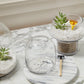 Oliver Terrarium Set of 4 By Accent Decor | Planters, Troughs & Cachepots | Modishstore - 4