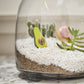 Oliver Terrarium Set of 4 By Accent Decor | Planters, Troughs & Cachepots | Modishstore - 5