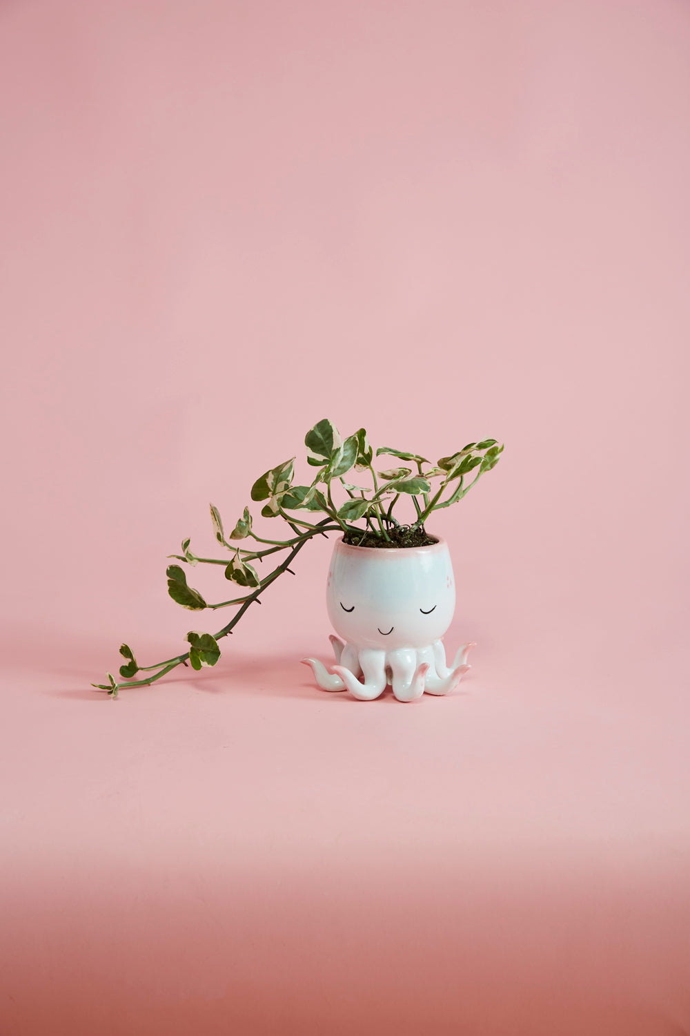 Open Arms Octopus Pot Set of 2 By Accent DŽcor