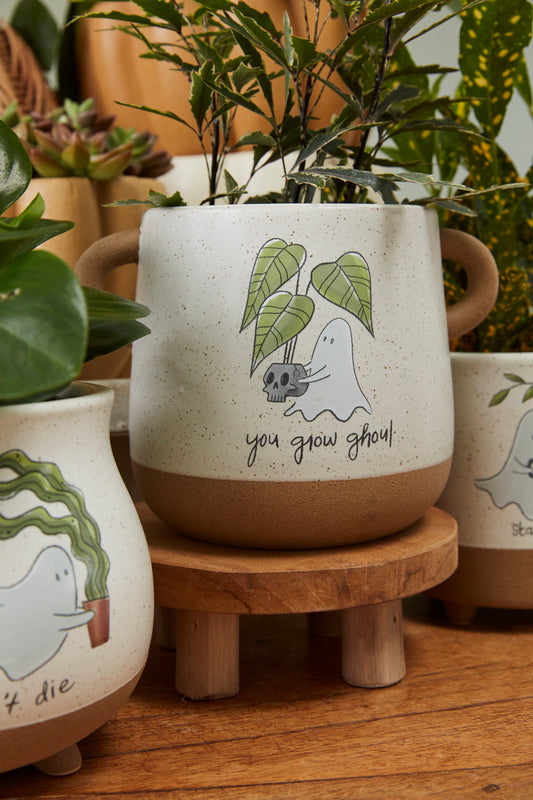 Optimistic Ghost Pot Set of 4 By Accent Decor | Planters, Troughs & Cachepots | Modishstore - 1