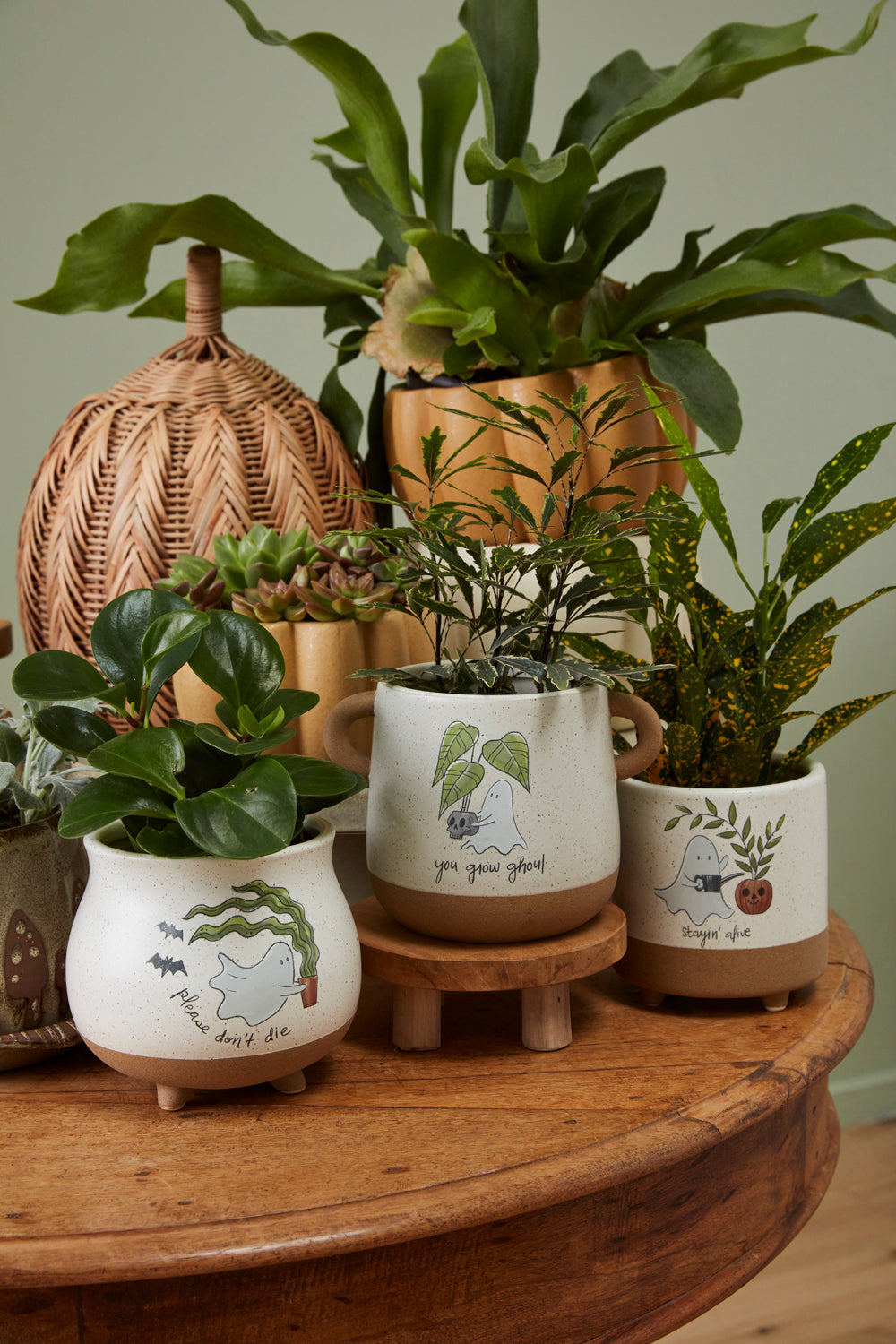 Optimistic Ghost Pot Set of 4 By Accent Decor | Planters, Troughs & Cachepots | Modishstore - 3