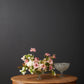 Opulent Compote Set of 4 By Accent Decor | Planters, Troughs & Cachepots | Modishstore - 3