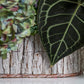 Oval Bark Basket Set of 4 By Accent Decor | Planters, Troughs & Cachepots | Modishstore - 1