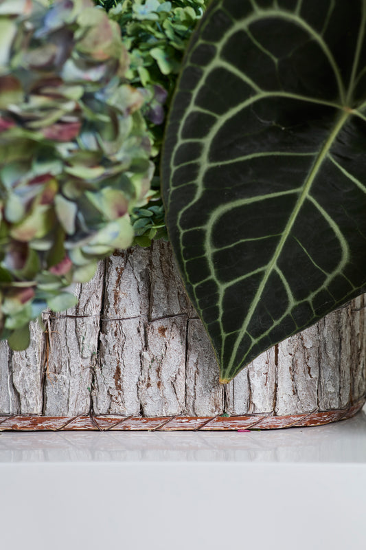 Oval Bark Basket Set of 4 By Accent Decor | Planters, Troughs & Cachepots | Modishstore - 1