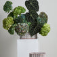 Oval Bark Basket Set of 4 By Accent Decor | Planters, Troughs & Cachepots | Modishstore - 3
