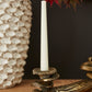 Oyster Mushroom Candleholder By Accent Decor | Candle Holders | Modishstore - 2