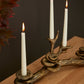 Oyster Mushroom Candleholder By Accent Decor | Candle Holders | Modishstore - 4