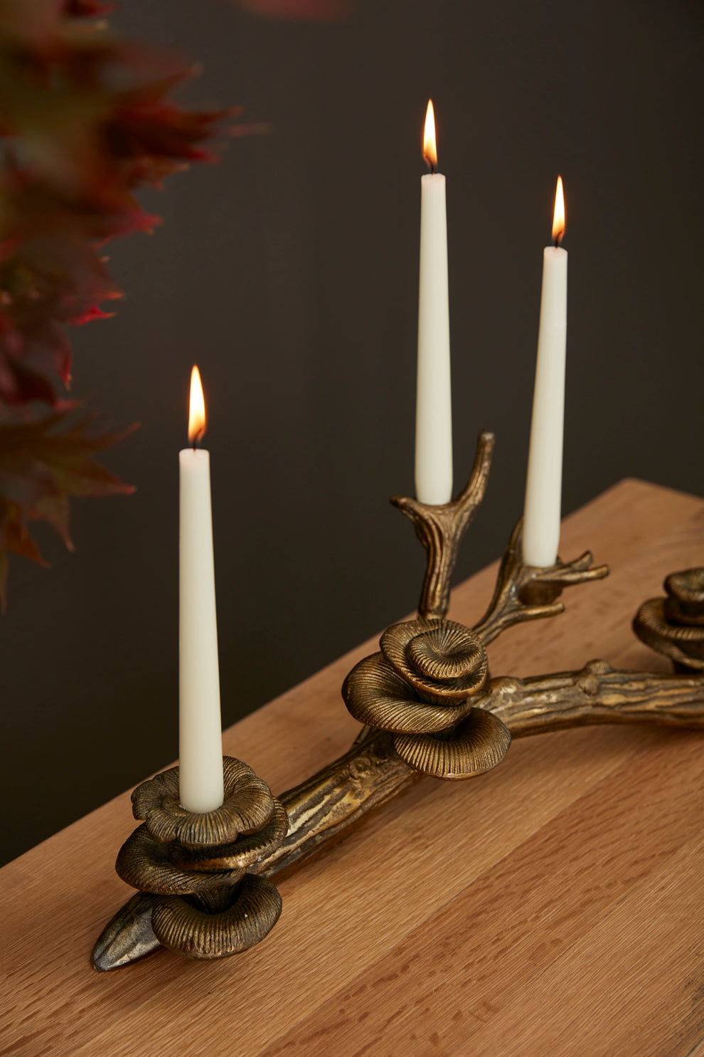 Oyster Mushroom Candleholder By Accent Decor | Candle Holders | Modishstore - 4