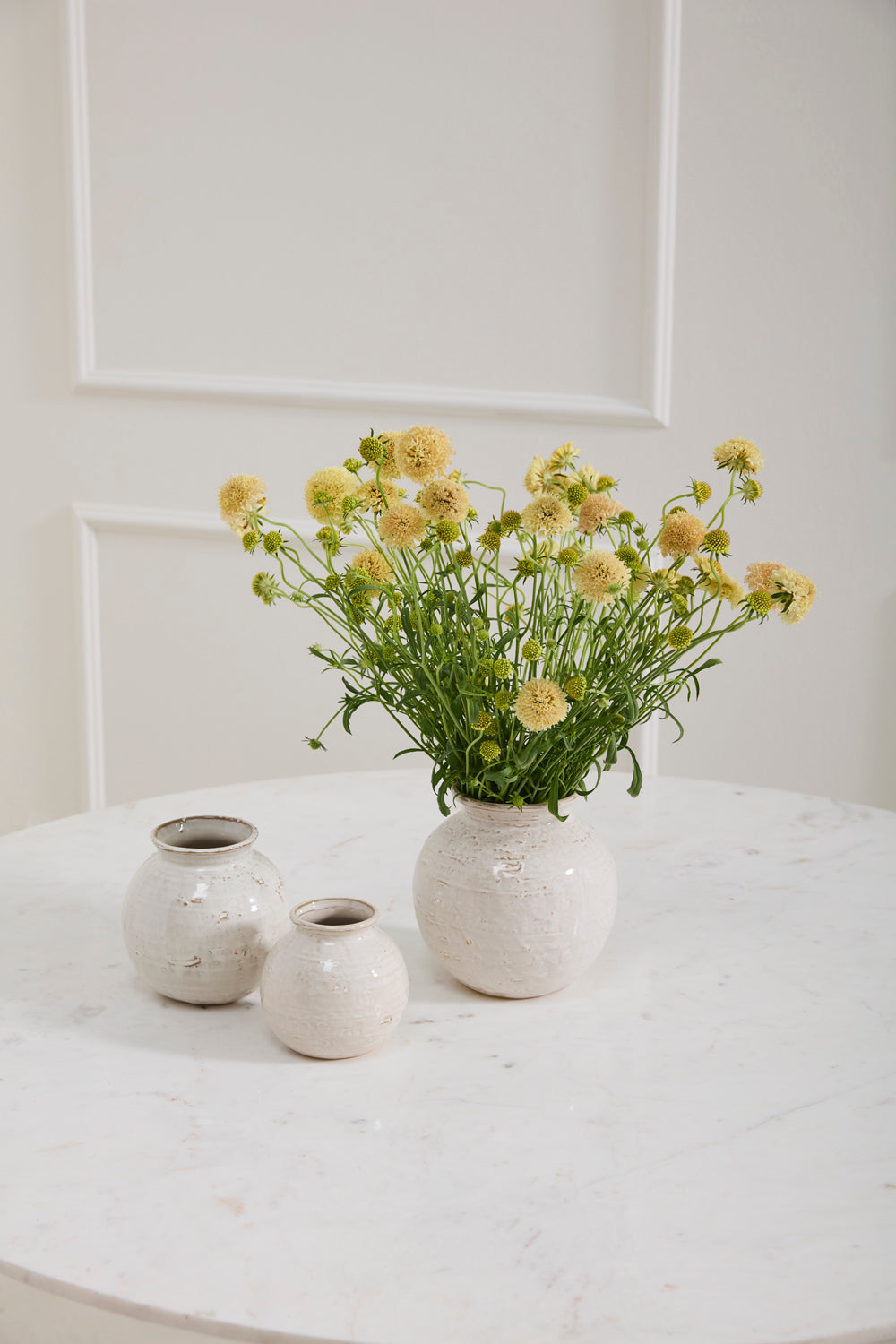 Page Vase Set of 8 By Accent Decor | Vases | Modishstore - 1