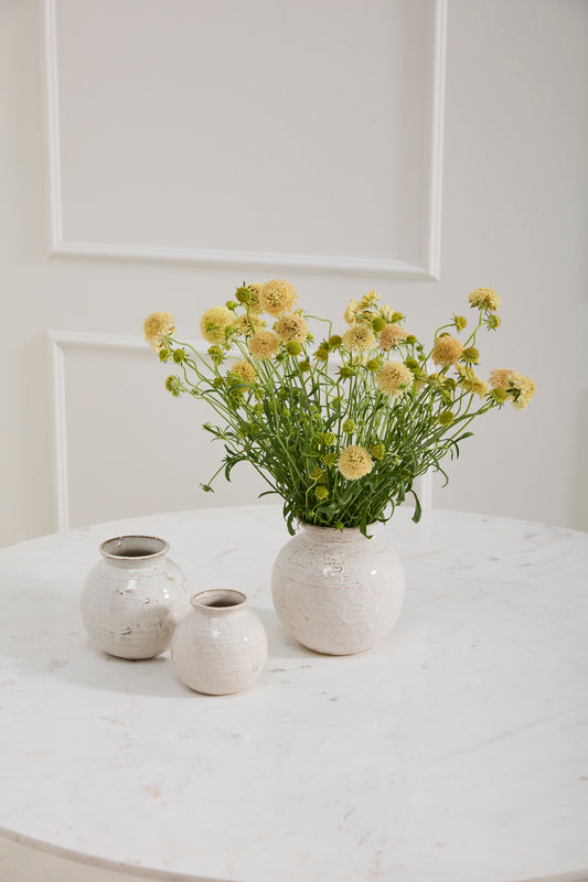 Page Vase Set of 8 By Accent Decor | Vases | Modishstore - 1