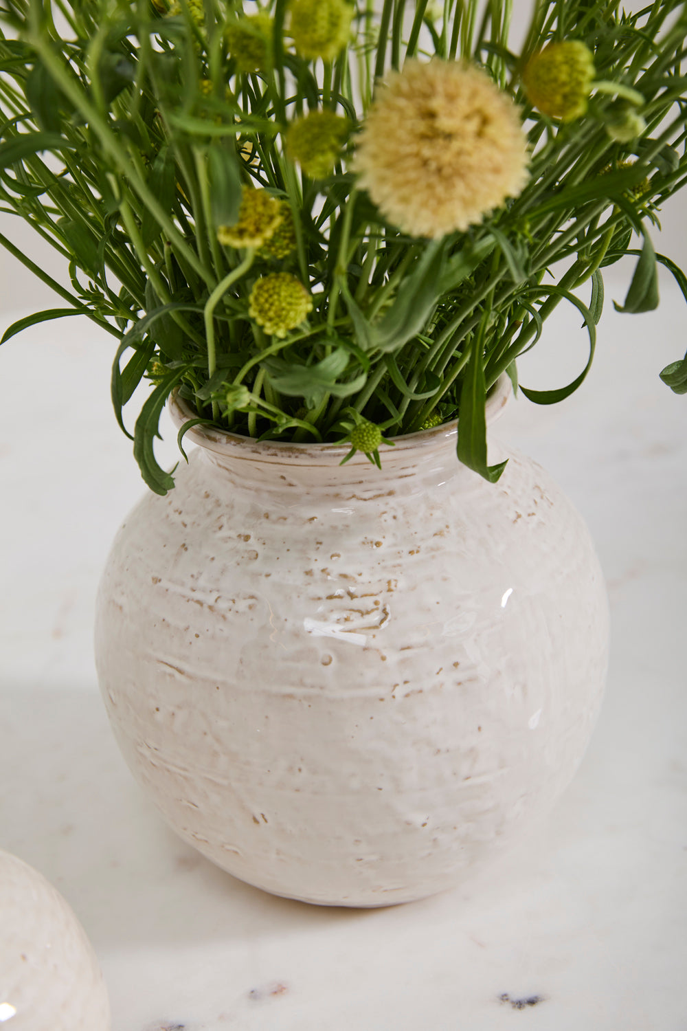 Page Vase Set of 8 By Accent Decor | Vases | Modishstore - 4