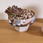 Palladin Footed Bowl By Accent Decor | Decorative Bowls | Modishstore - 4
