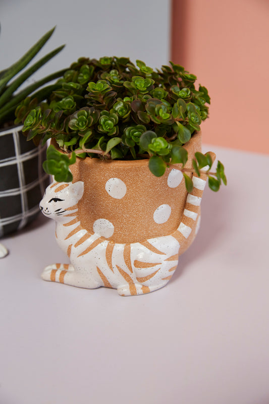 Pampered Pet Pot Set of 4 By Accent Decor | Planters, Troughs & Cachepots | Modishstore - 1