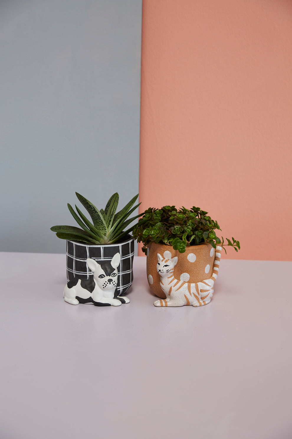 Pampered Pet Pot Set of 4 By Accent Decor | Planters, Troughs & Cachepots | Modishstore - 3