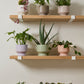 Pasadena Pot Set of 4 By Accent Decor | Planters, Troughs & Cachepots | Modishstore - 6