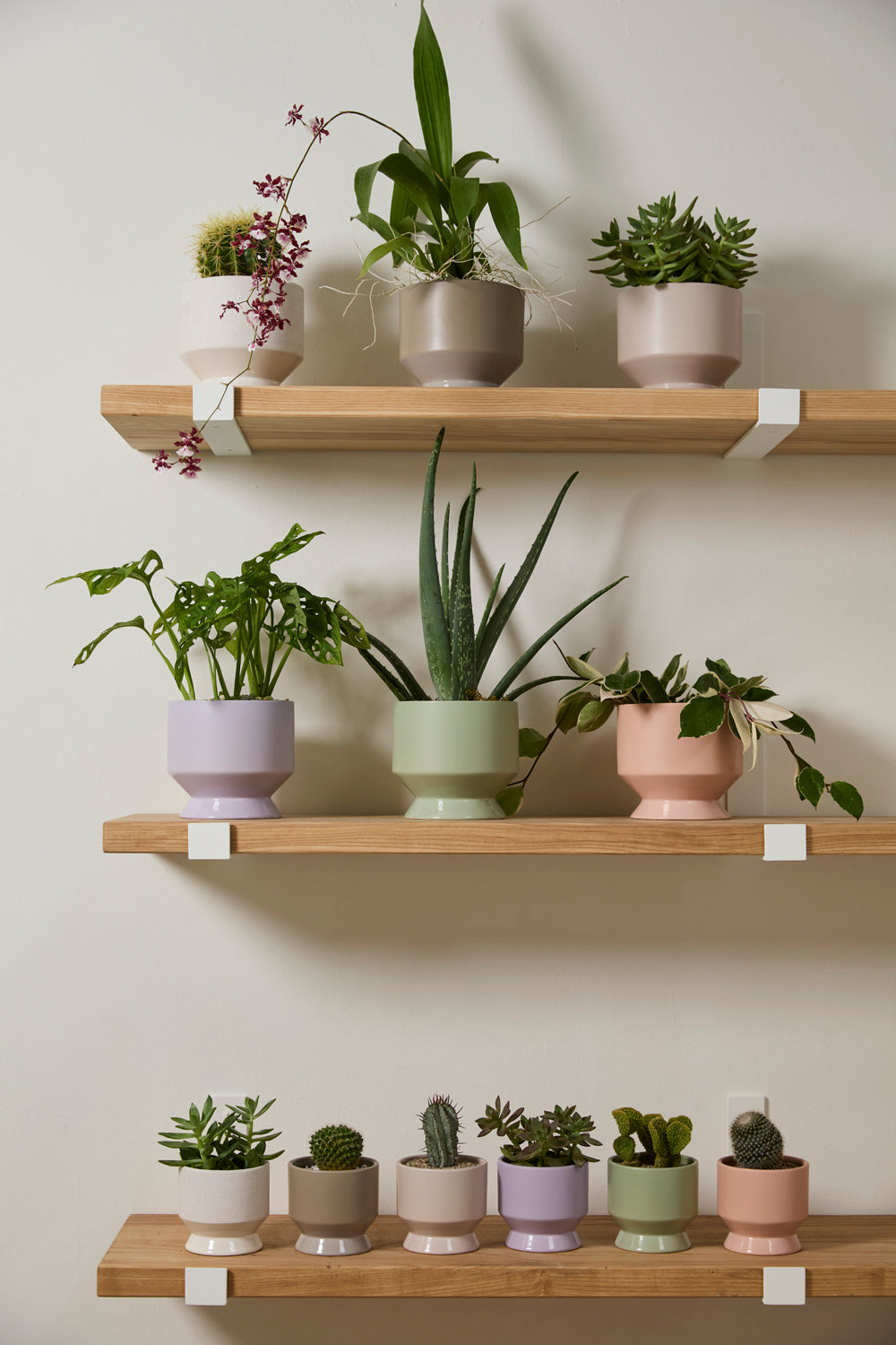 Pasadena Pot Set of 4 By Accent Decor | Planters, Troughs & Cachepots | Modishstore - 6