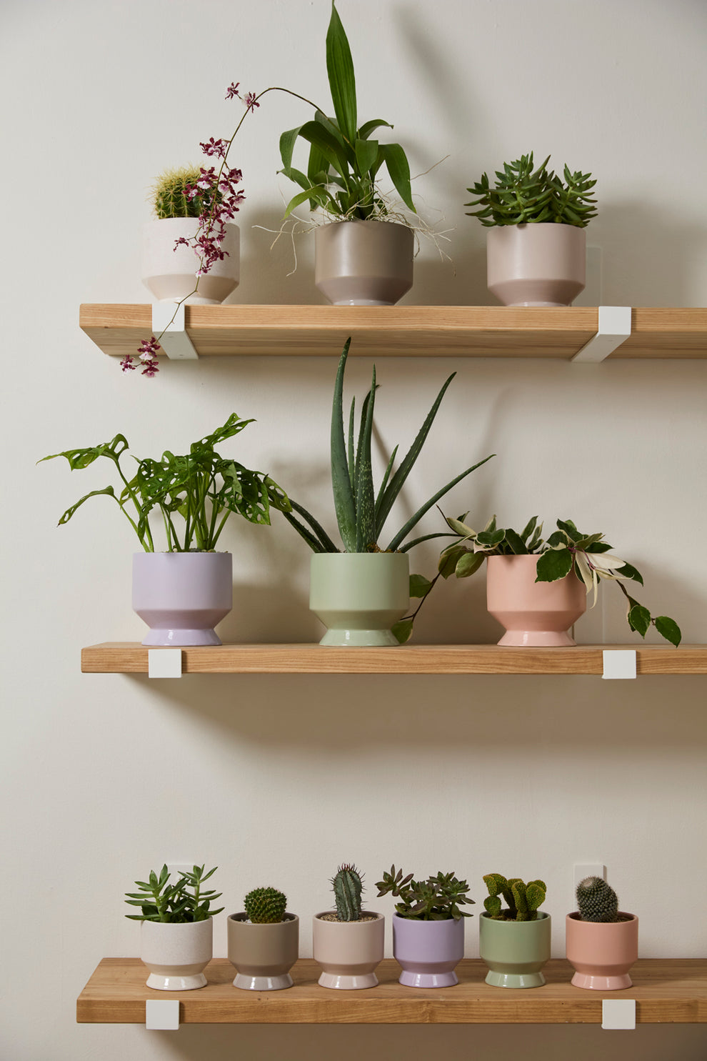 Pasadena Pot Set of 4 By Accent Decor | Planters, Troughs & Cachepots | Modishstore - 6