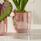 Passion Pot Set of 4 By Accent Decor | Stands | Modishstore - 1