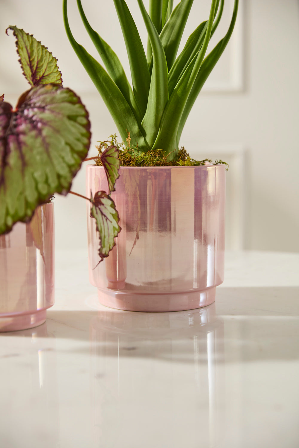Passion Pot Set of 4 By Accent Decor | Stands | Modishstore - 1