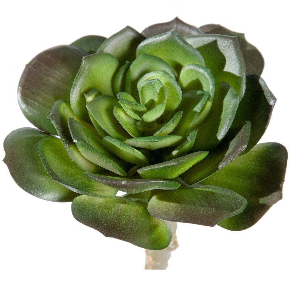 Green Wall, 'Wave Succulent 3' By Gold Leaf | Wall Art | Modishstore - 5