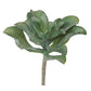 Green Wall, 'Wave Succulent 1' By Gold Leaf | Wall Art | Modishstore - 6