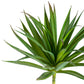 Yucca Mini 2 in Stainless Table Planter By Gold Leaf | Planters, Troughs & Cachepots | Modishstore - 4