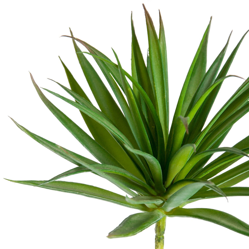 Yucca Mini 2 in Stainless Table Planter By Gold Leaf | Planters, Troughs & Cachepots | Modishstore - 4