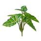 Green Wall, Trailing Mix #2 By Gold Leaf | Wall Art | Modishstore - 8