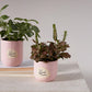 Peace and Love Pot Set of 8 By Accent Decor | Planters, Troughs & Cachepots | Modishstore - 3