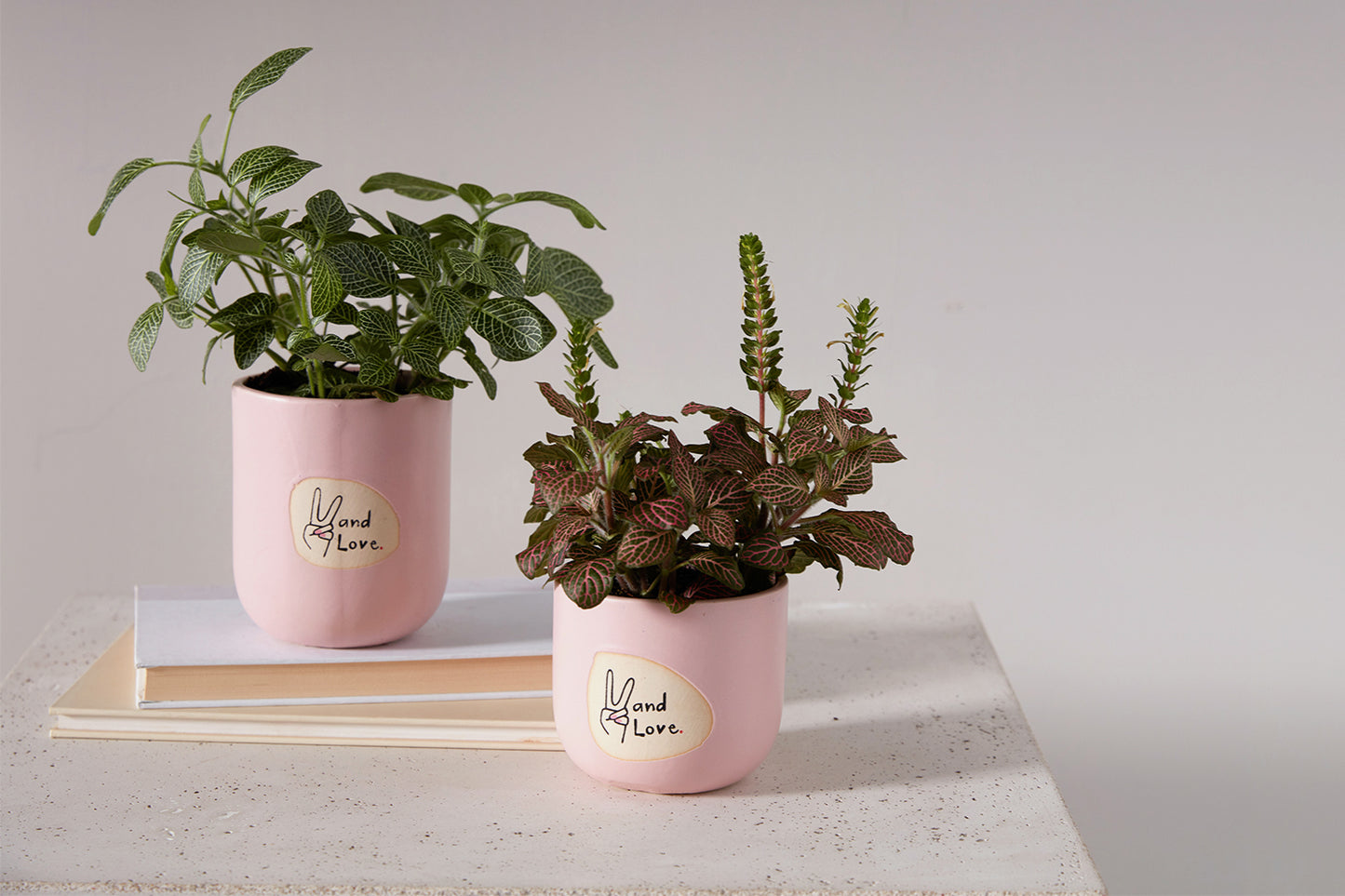 Peace and Love Pot Set of 8 By Accent Decor | Planters, Troughs & Cachepots | Modishstore - 3