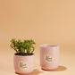 Peace and Love Pot Set of 8 By Accent Decor | Planters, Troughs & Cachepots | Modishstore - 4