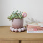 Pearl Pot with Saucer Set of 2 By Accent Decor | Planters, Troughs & Cachepots | Modishstore - 3