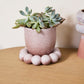 Pearl Pot with Saucer Set of 2 By Accent Decor | Planters, Troughs & Cachepots | Modishstore - 4