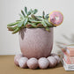 Pearl Pot with Saucer Set of 2 By Accent Decor | Planters, Troughs & Cachepots | Modishstore - 5