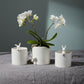 Peeking Bunny Pots Set of 6 By Accent Decor | Planters, Troughs & Cachepots | Modishstore - 1