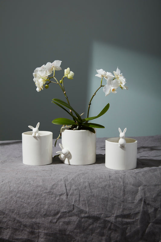 Peeking Bunny Pots Set of 6 By Accent Decor | Planters, Troughs & Cachepots | Modishstore - 1
