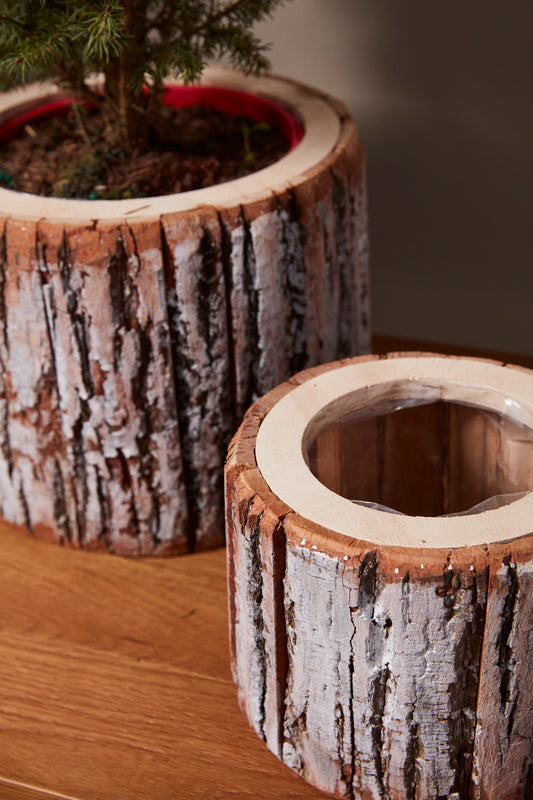 Pinefrost Pot Set of 2 By Accent Decor | Planters, Troughs & Cachepots | Modishstore - 1