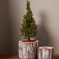 Pinefrost Pot Set of 2 By Accent Decor | Planters, Troughs & Cachepots | Modishstore - 3