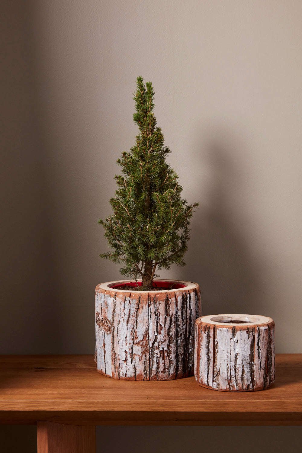 Pinefrost Pot Set of 2 By Accent Decor | Planters, Troughs & Cachepots | Modishstore - 3