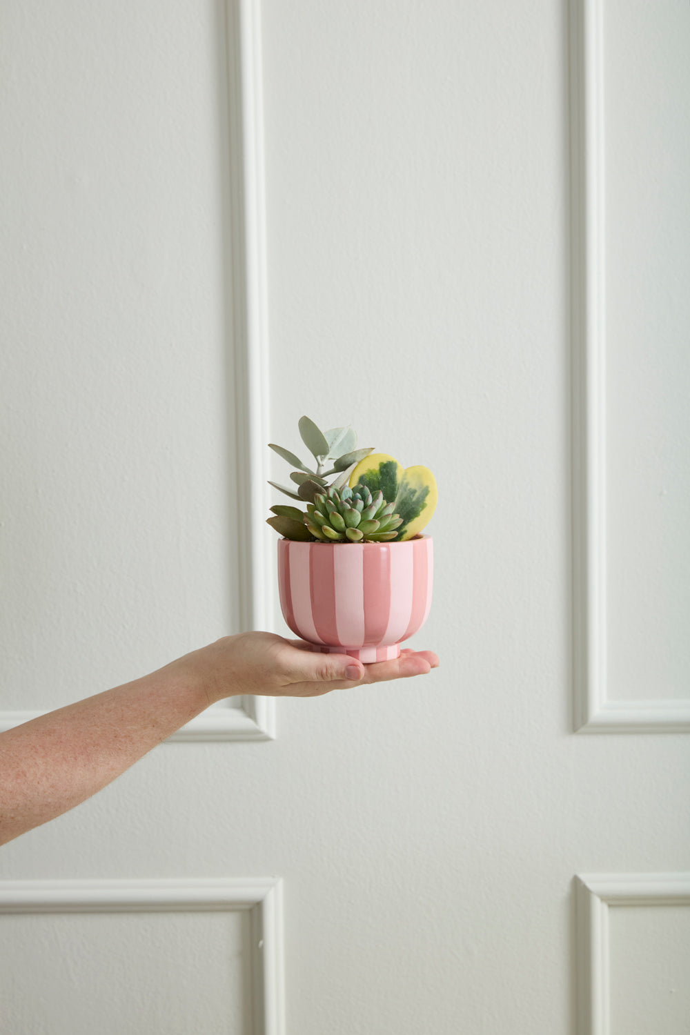 Pink Striped Collection Set of 4 By Accent Decor | Stands | Modishstore - 1
