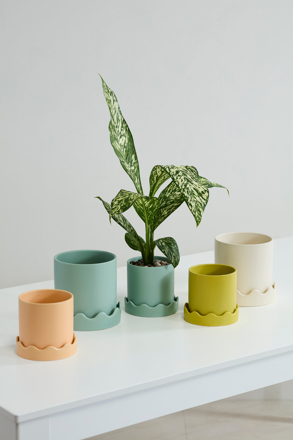 Pissaro Pot with Saucer Set of 4 By Accent Decor | Planters, Troughs & Cachepots | Modishstore - 5