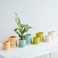 Pissaro Pot with Saucer Set of 4 By Accent Decor | Planters, Troughs & Cachepots | Modishstore - 4