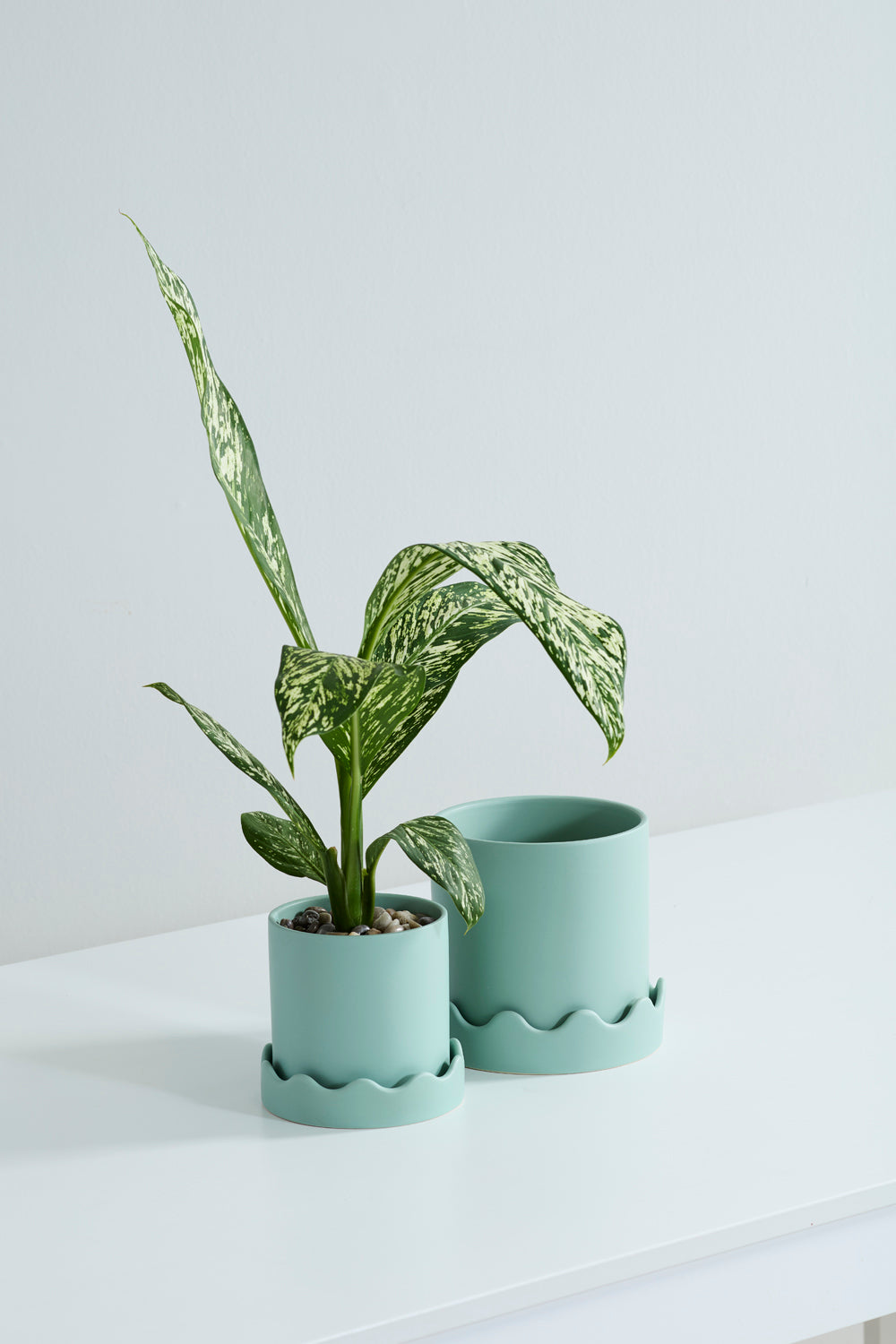 Pissaro Pot with Saucer Set of 4 By Accent Decor | Planters, Troughs & Cachepots | Modishstore - 3
