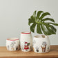 Planta Collection Set of 2 By Accent Decor | Planters, Troughs & Cachepots | Modishstore - 1