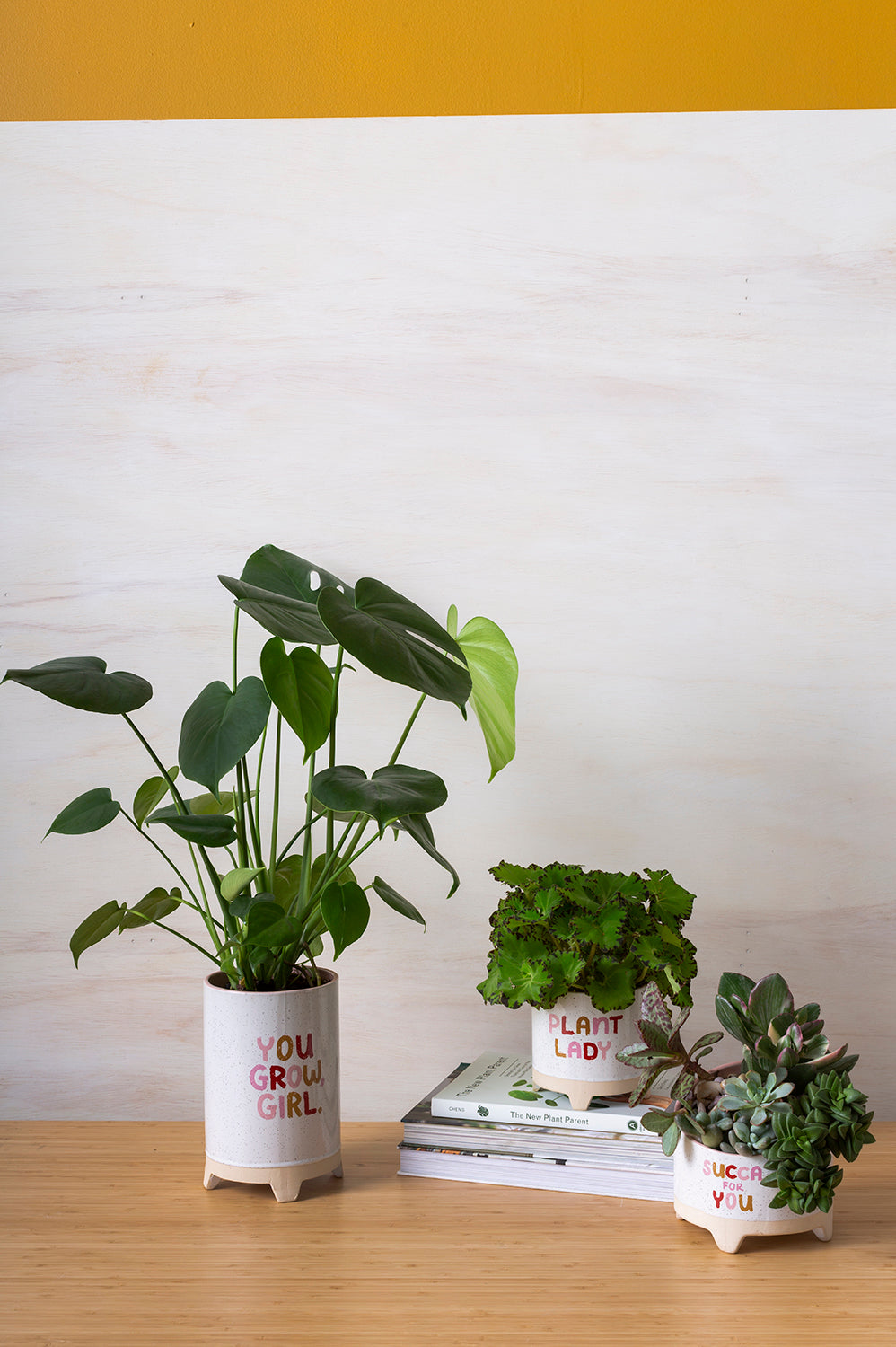 Plant Luv Collection Set of 4 By Accent Decor | Planters, Troughs & Cachepots | Modishstore - 3