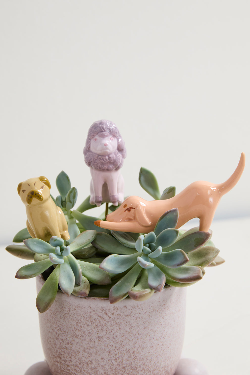 Playful Pups Plant Sticks - Set of 6 By Accent Decor | Planters, Troughs & Cachepots | Modishstore - 3