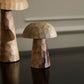 Porcini Mushroom - Set of 6 By Accent Decor | Planters, Troughs & Cachepots | Modishstore - 2
