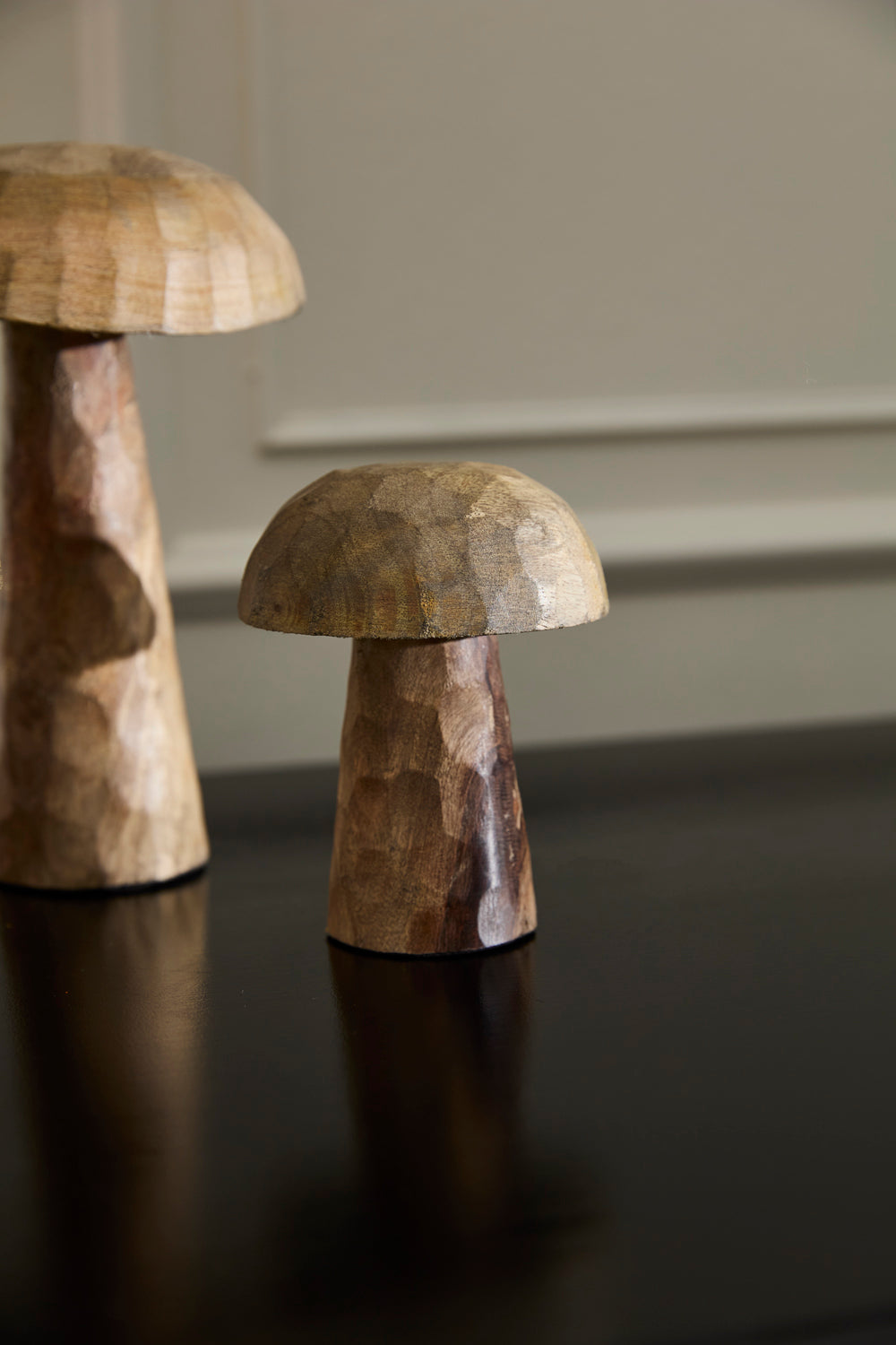 Porcini Mushroom - Set of 6 By Accent Decor | Planters, Troughs & Cachepots | Modishstore - 2