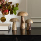 Porcini Mushroom - Set of 6 By Accent Decor | Planters, Troughs & Cachepots | Modishstore - 3
